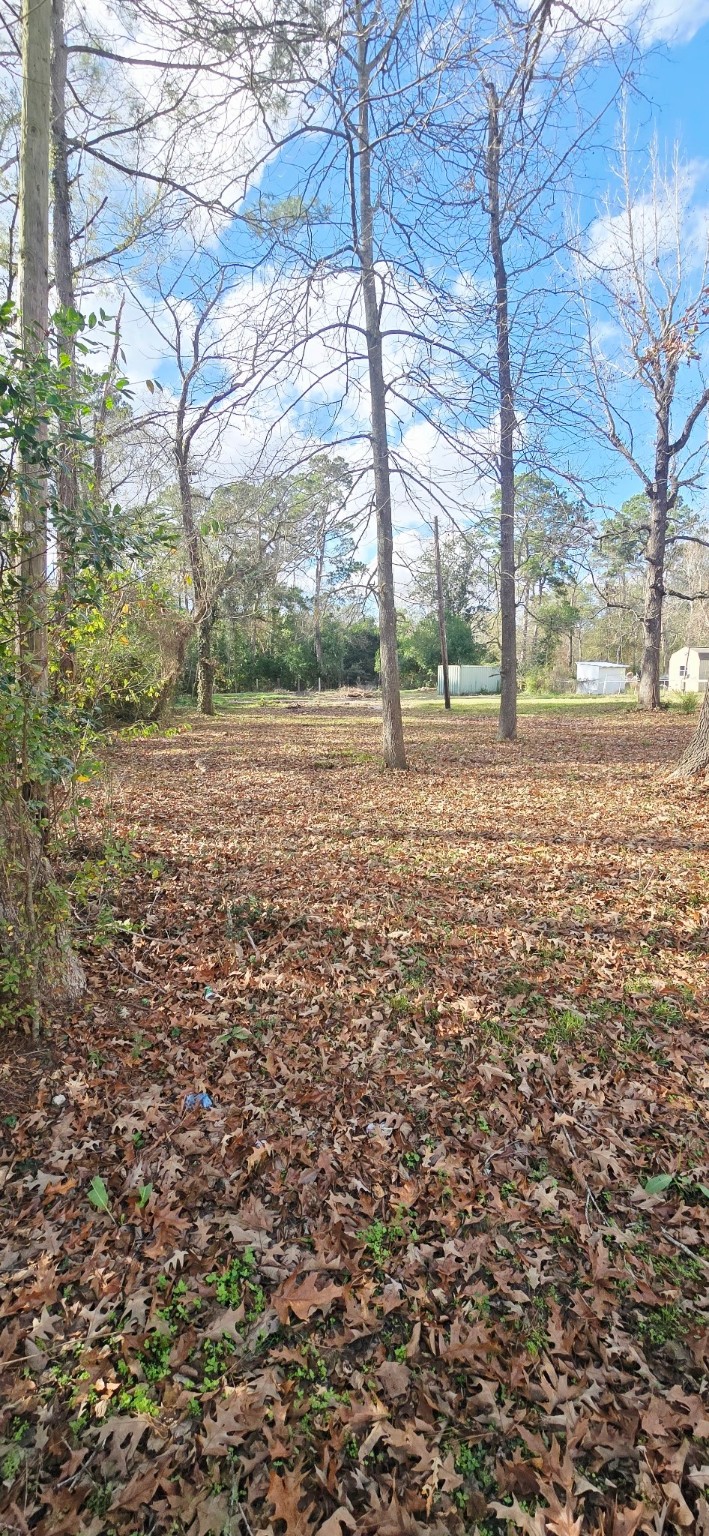 a view of a yard with large trees