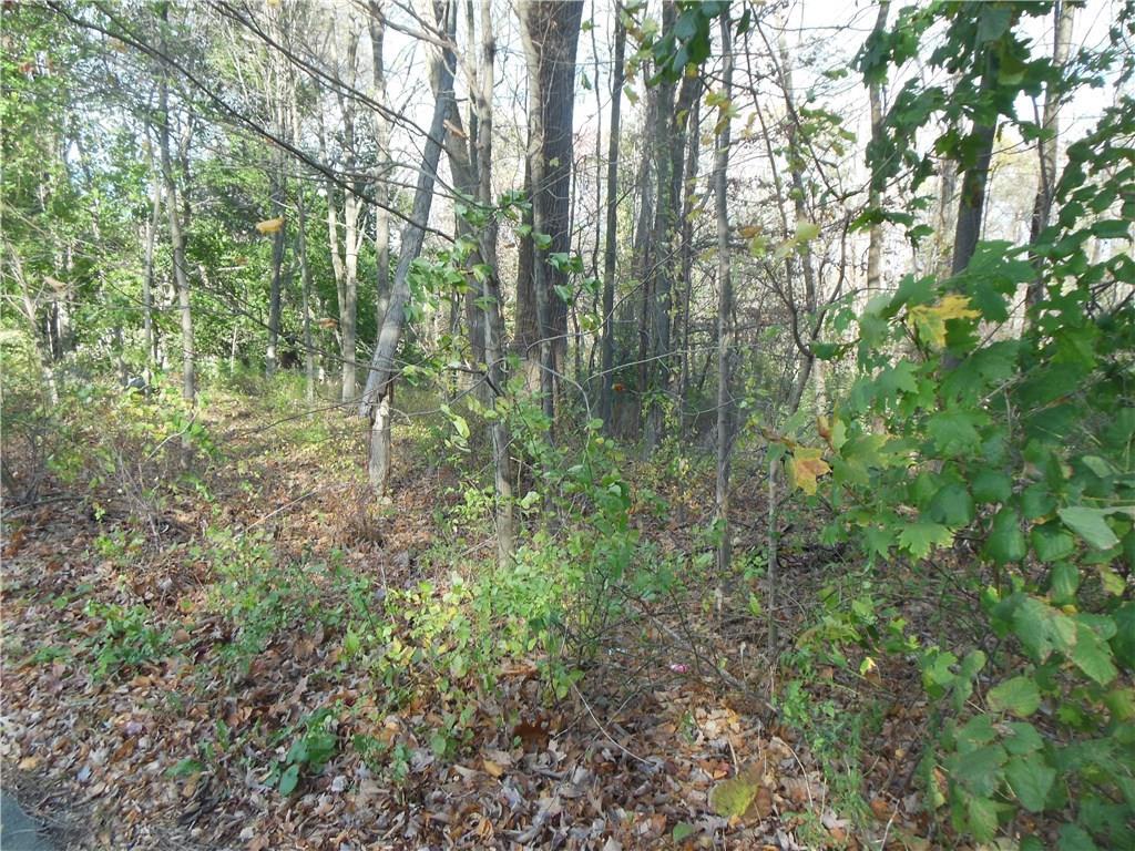 1 Rockwell Road Bethel, CT 06801 - Photo 1 of 1 a view of forest