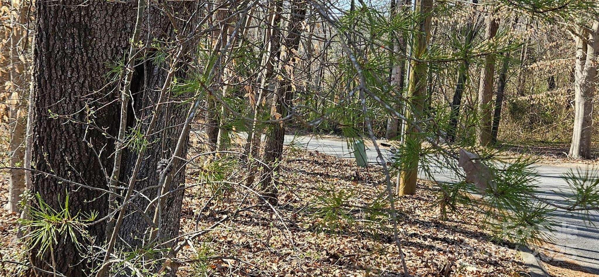 0 General Griffith Circle, Unit 35 & 37 Rutherfordton, NC 28139 - Photo 11 of 15 a backyard of a house with lots of green space