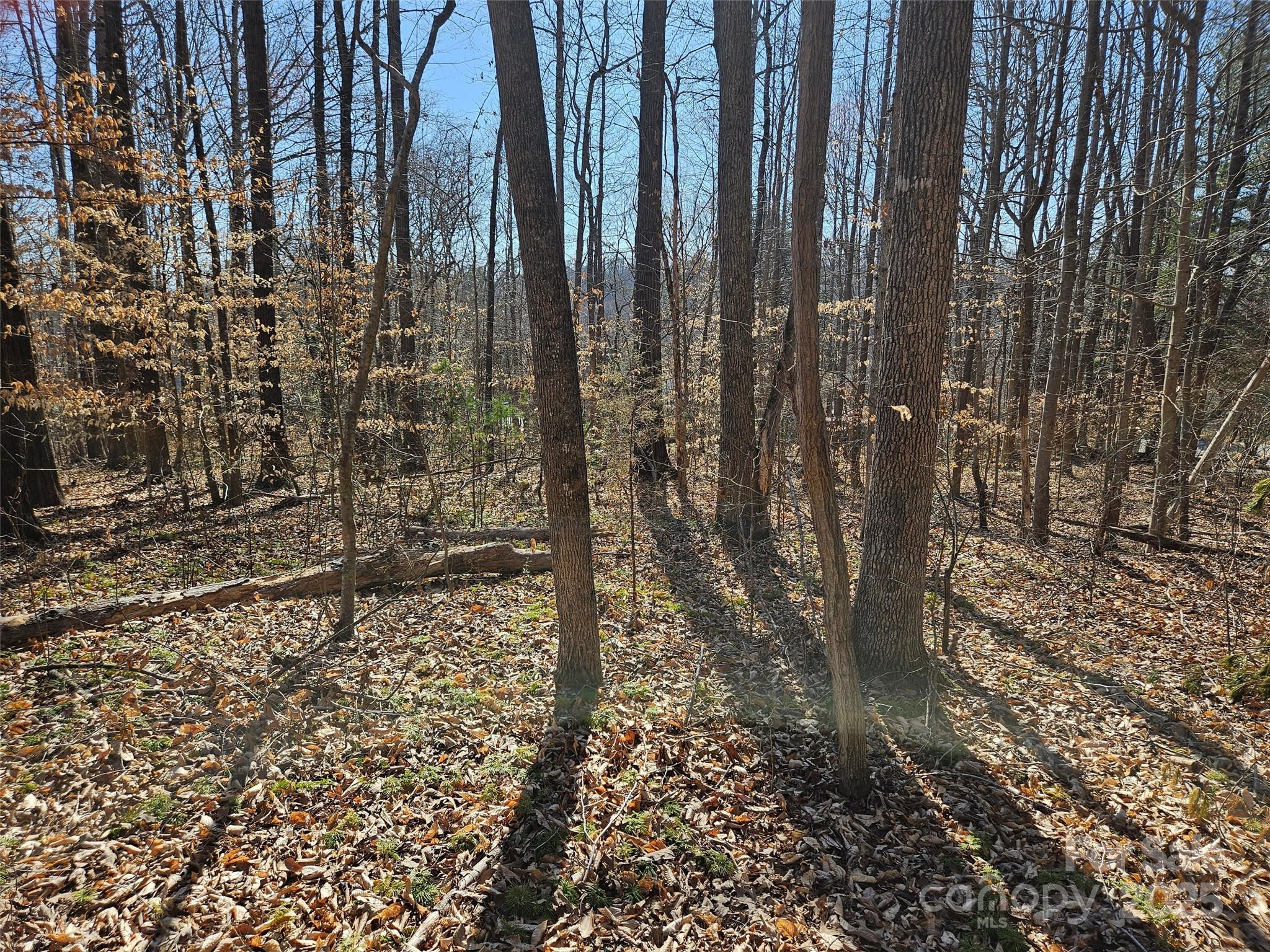0 General Griffith Circle, Unit 35 & 37 Rutherfordton, NC 28139 - Photo 4 of 15 a bathroom with a shower