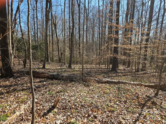 a view of a backyard with trees