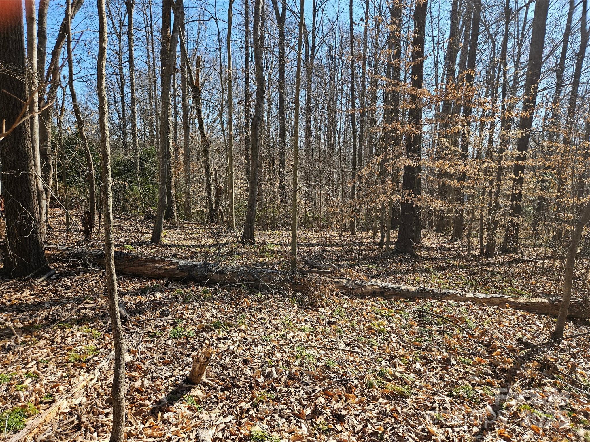 0 General Griffith Circle, Unit 35 & 37 Rutherfordton, NC 28139 - Photo 5 of 15 a view of a backyard with trees