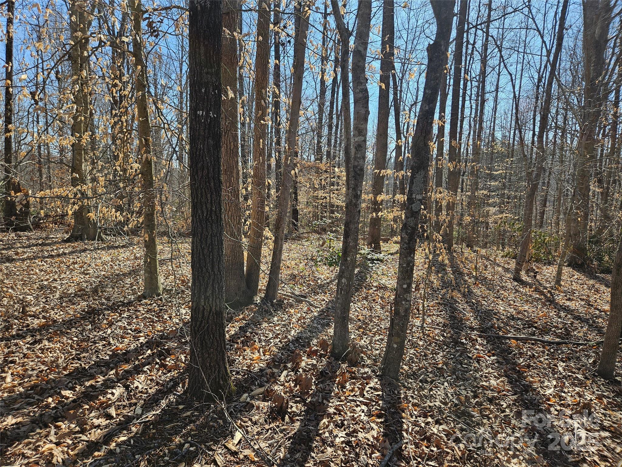 0 General Griffith Circle, Unit 35 & 37 Rutherfordton, NC 28139 - Photo 7 of 15 a view of a yard with plants and trees