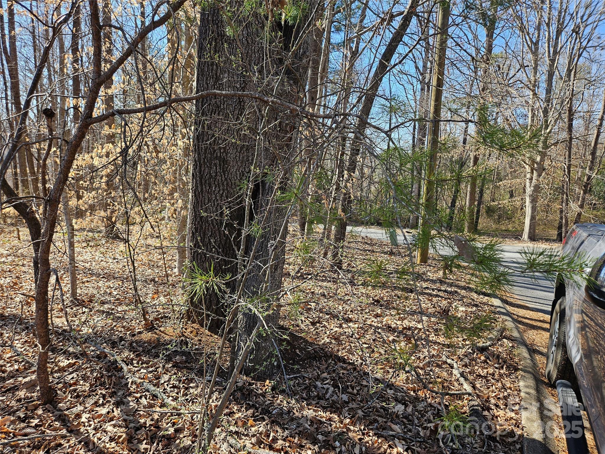 0 General Griffith Circle, Unit 35 & 37 Rutherfordton, NC 28139 - Photo 9 of 15 a backyard of a house with lots of green space