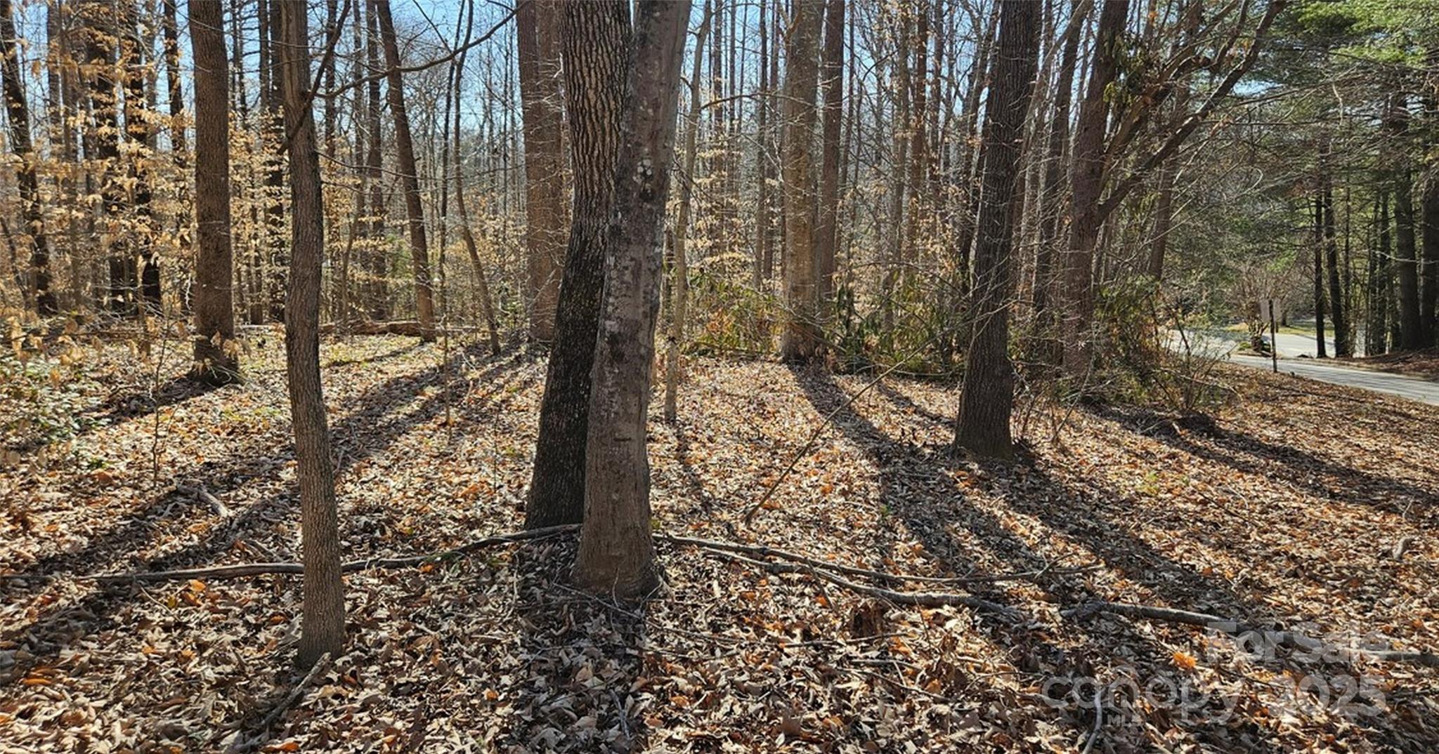 0 General Griffith Circle, Unit 35 & 37 Rutherfordton, NC 28139 - Photo 10 of 15 a view of a forest filled with trees