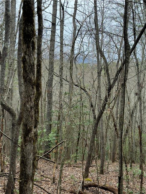 807 East Ridge Lane Ellijay, GA 30536 - Photo 2 of 7