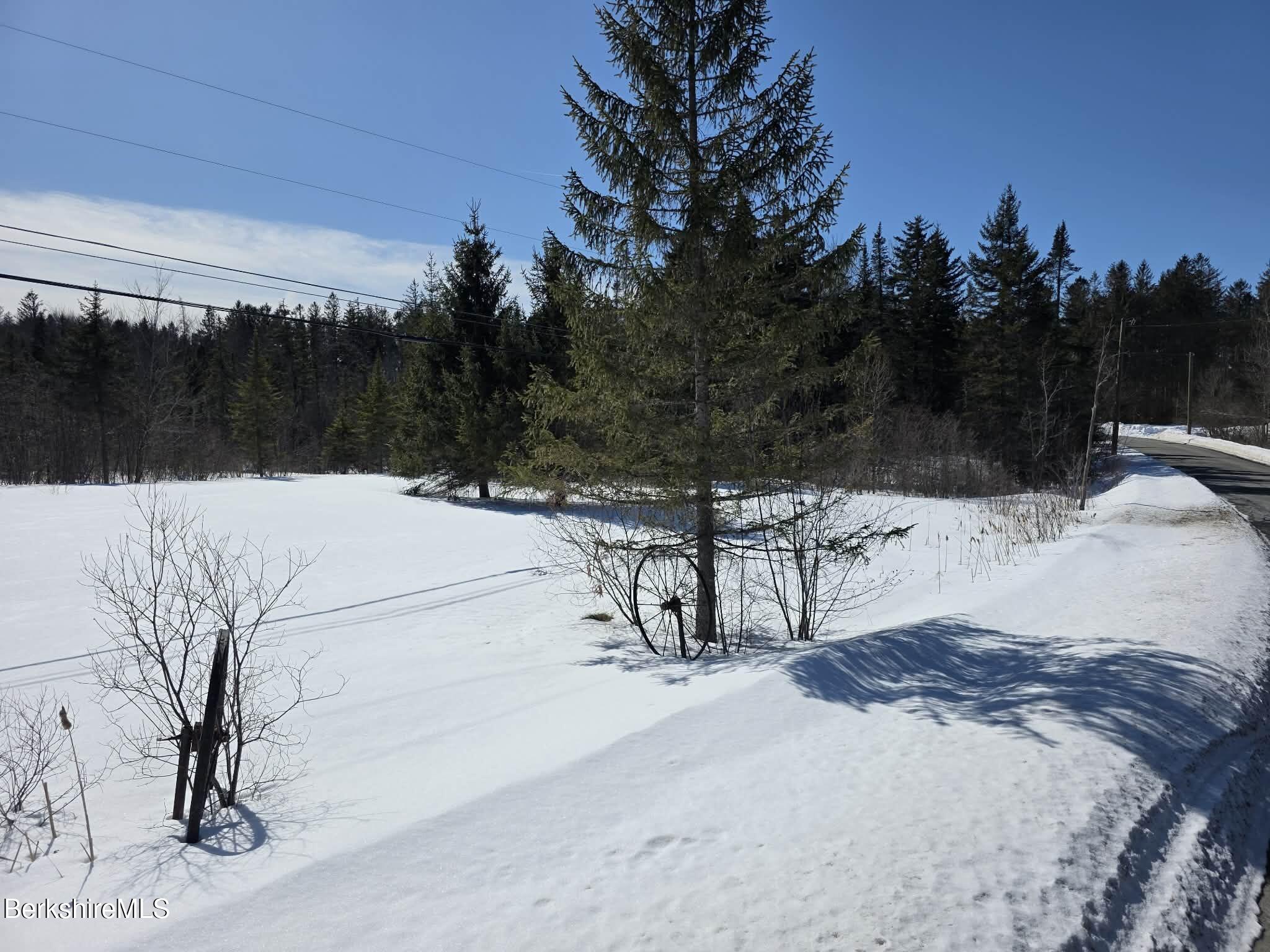 26 Loop Road Savoy, MA 01256 - Photo 3 of 8 a view of a backyard of snow
