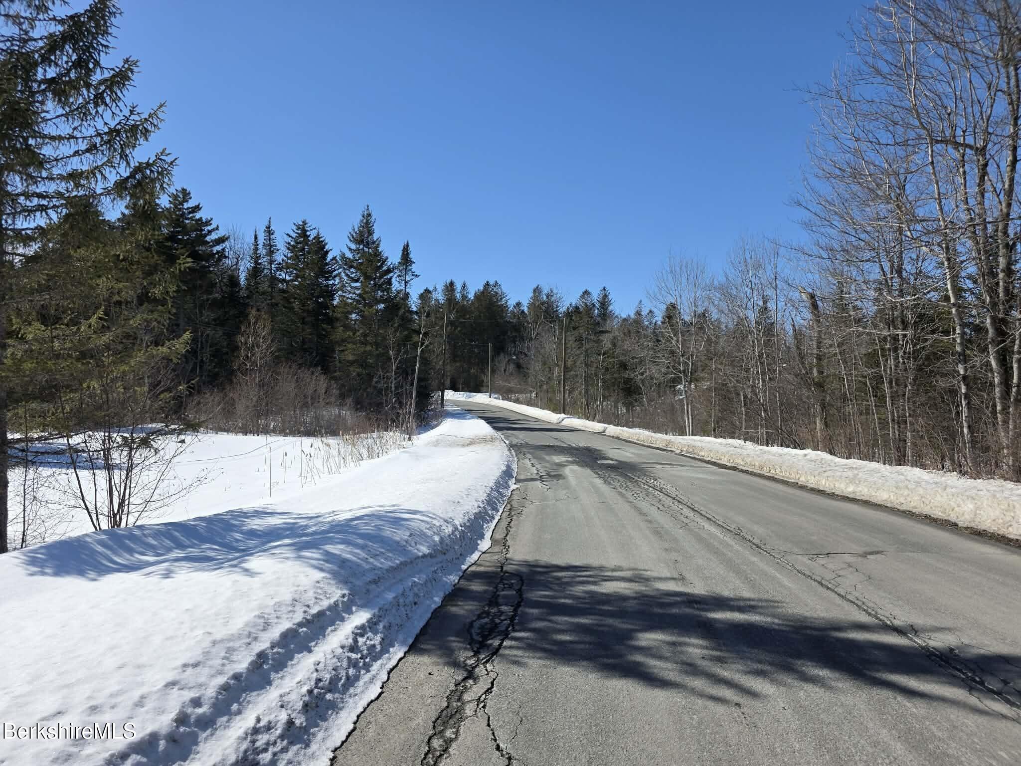 26 Loop Road Savoy, MA 01256 - Photo 6 of 8 a view of a dry yard with trees