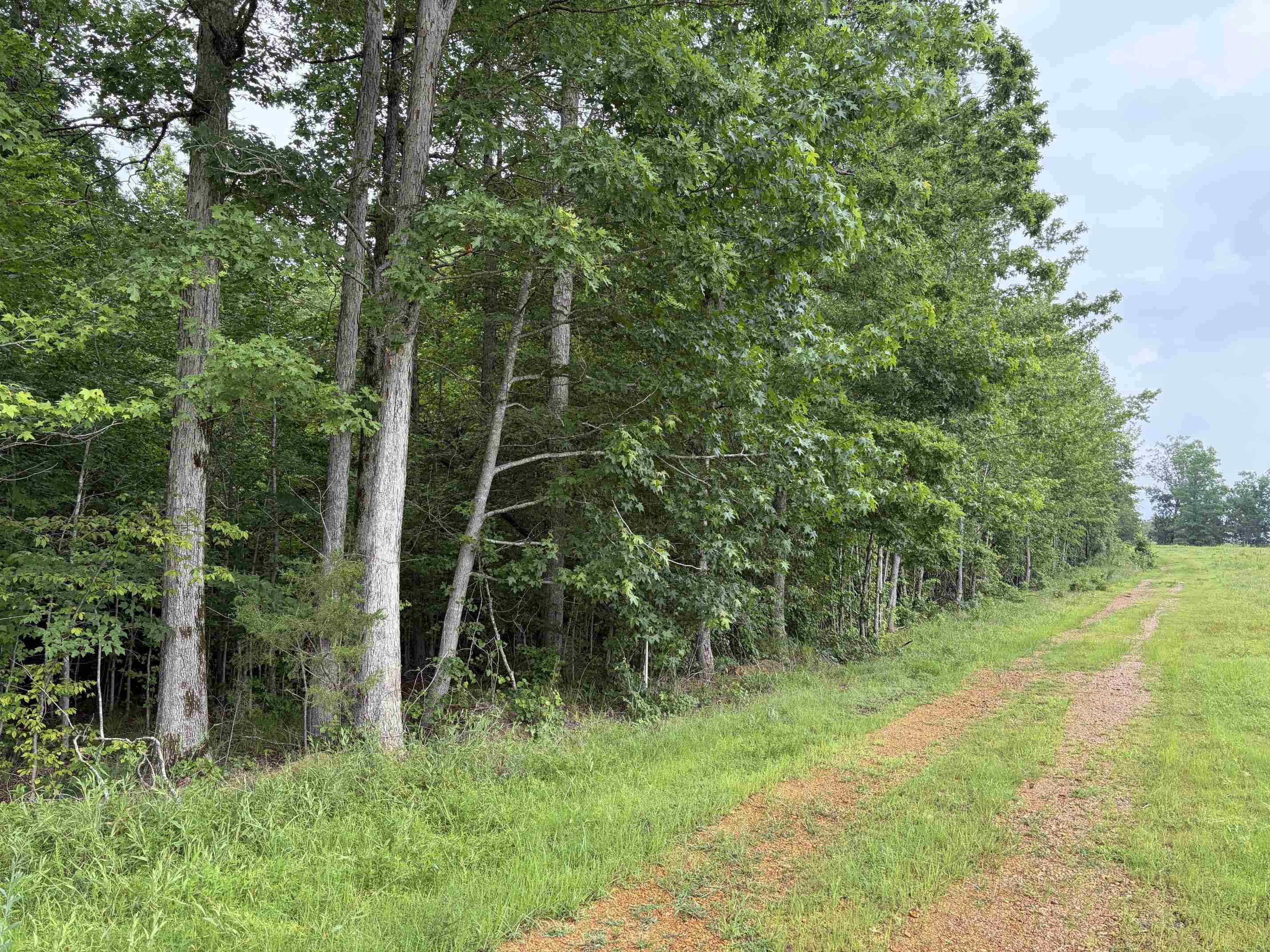 745 Foster Road Adamsville, TN 38310 - Photo 19 of 25 Gallery Image 19