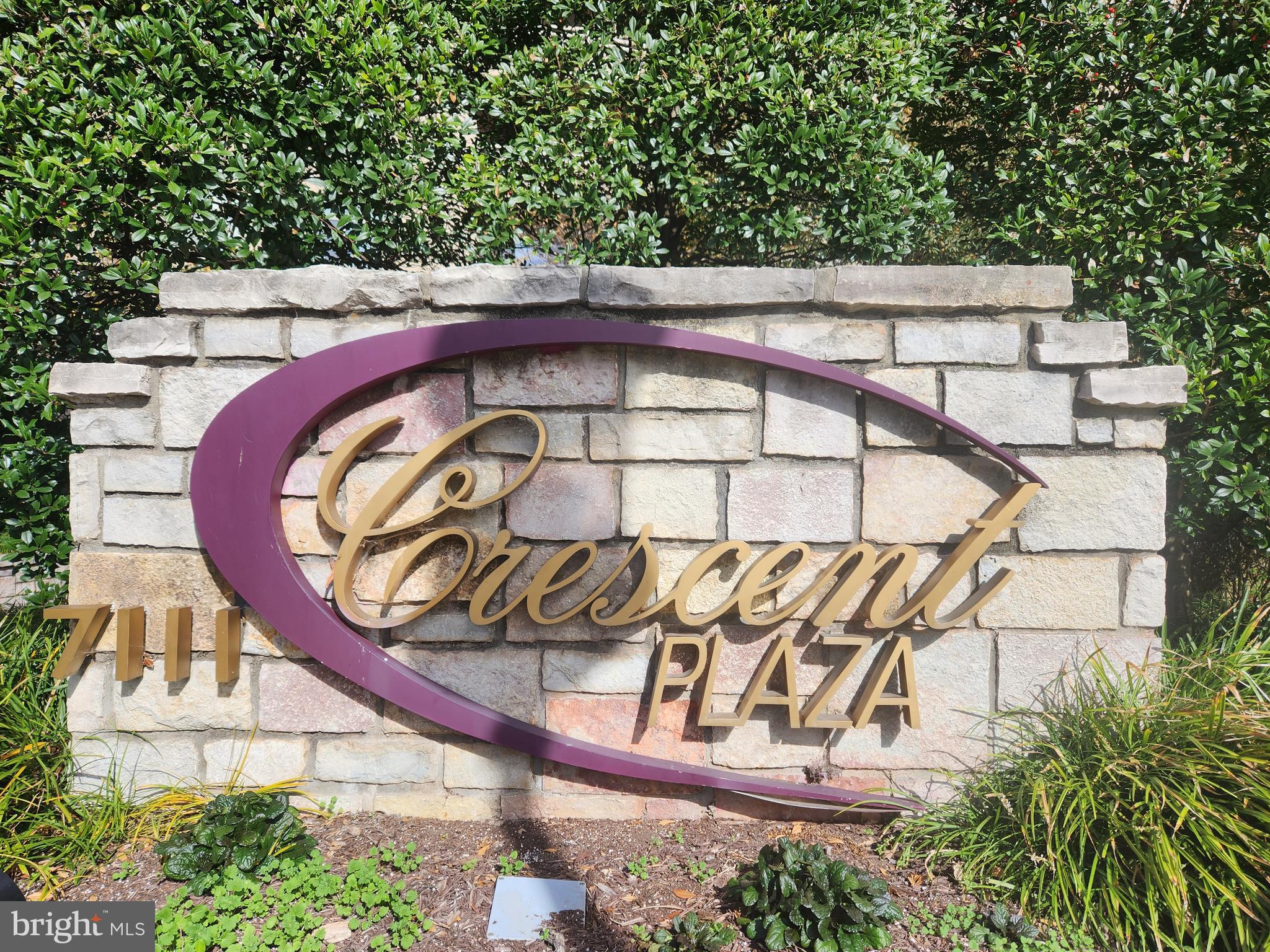 a view of a swimming pool with a yard