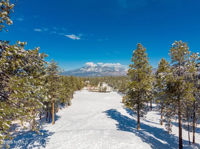 $1,495,000 | 3017 South Tourmaline Drive, Unit 11, Flagstaff, AZ 86005