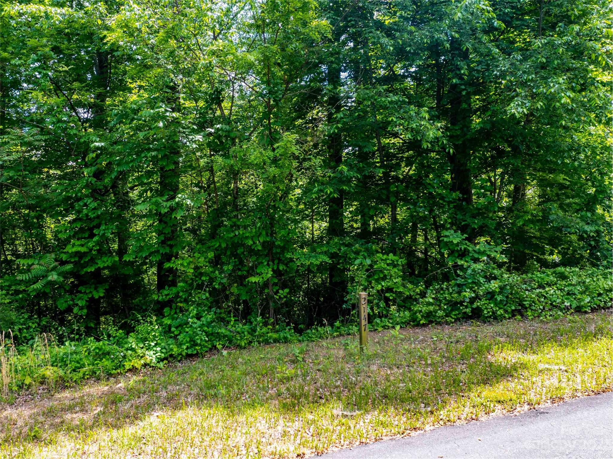 Lot 2147 Twin Falls Lane Mill Spring, NC 28756 - Photo 2 of 5