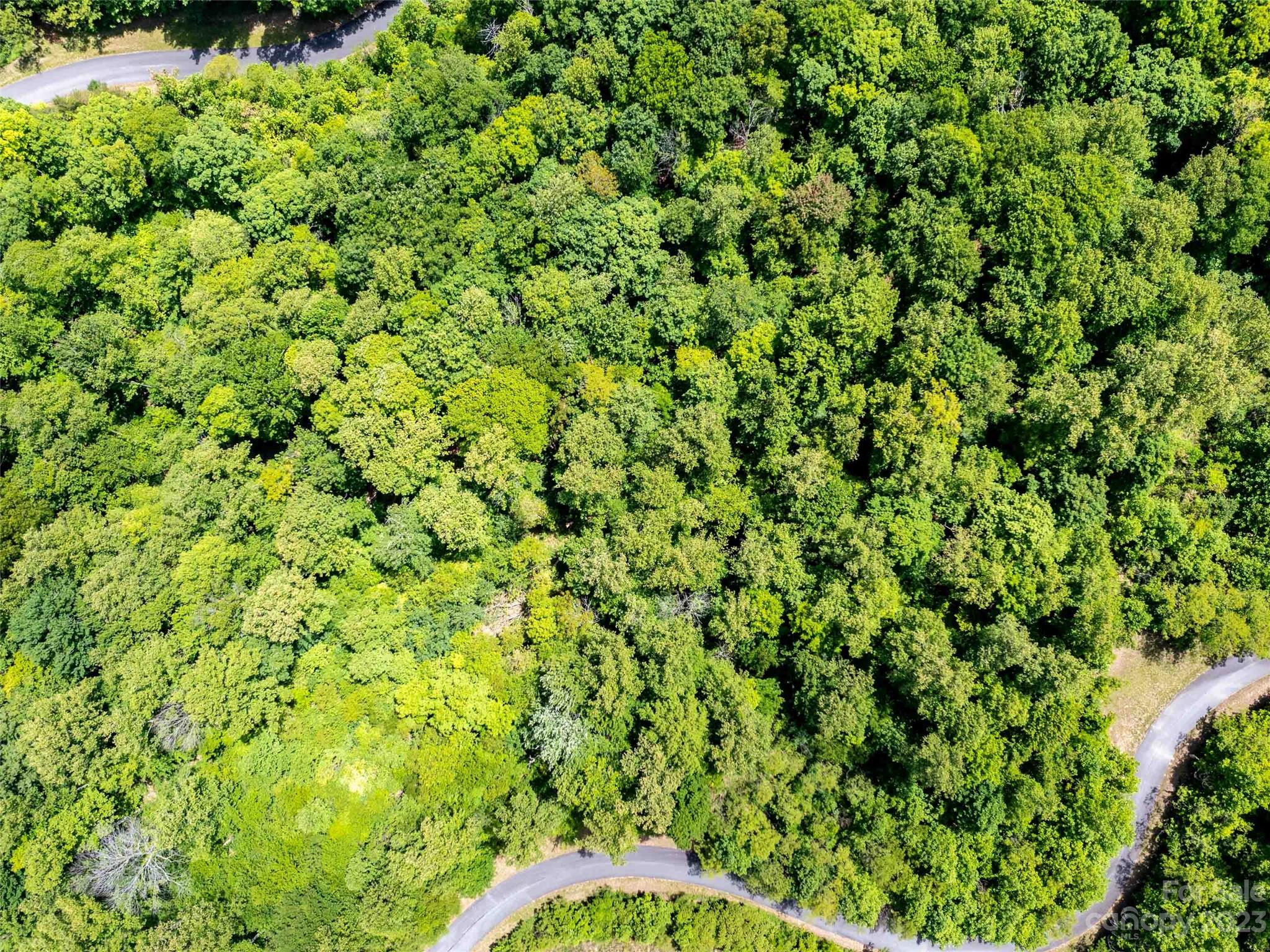 Lot 2147 Twin Falls Lane Mill Spring, NC 28756 - Photo 3 of 5