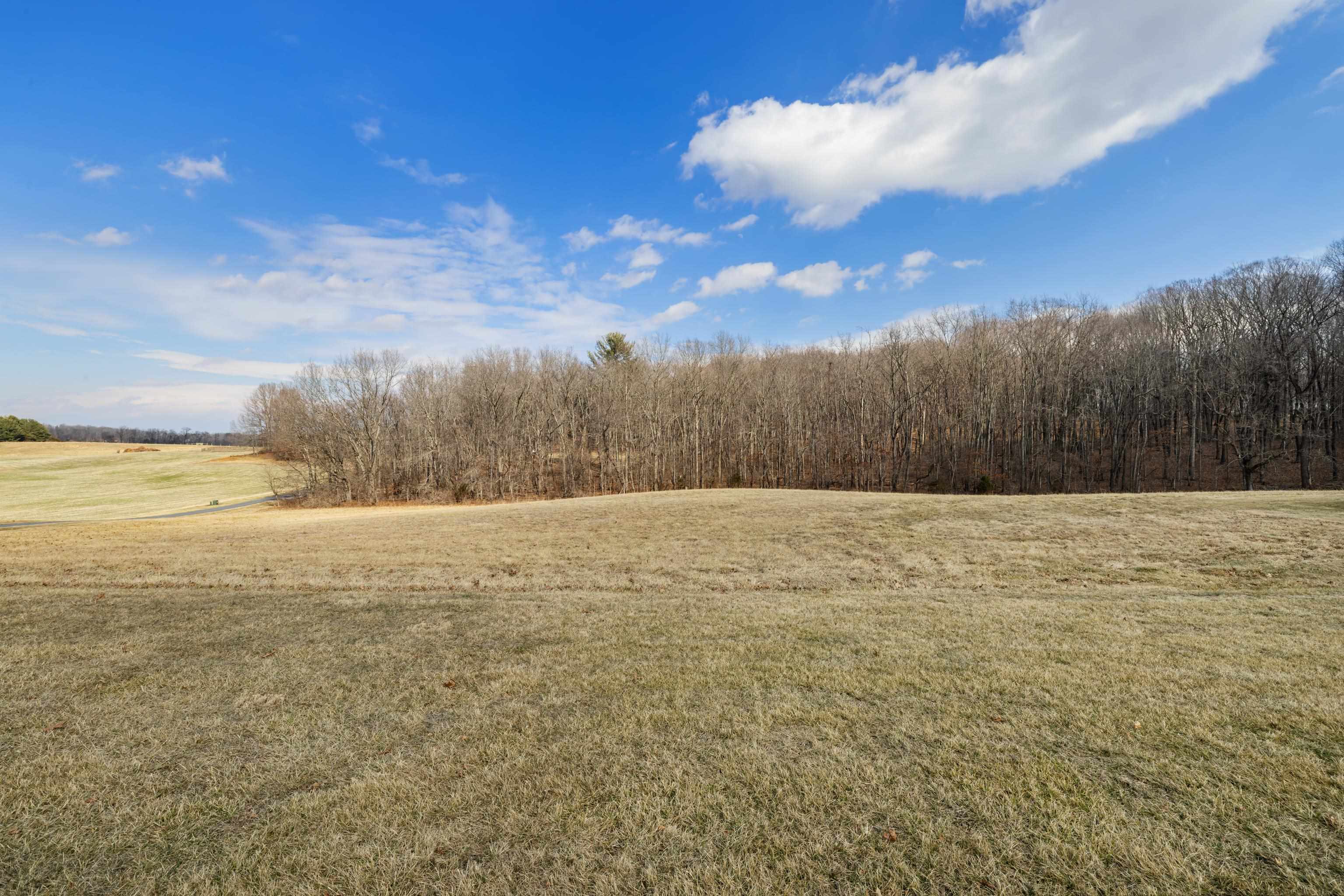 431 Mt Pisgah Road Mount Sidney, VA 24467 - Photo 6 of 72 Pasture Acreage 1