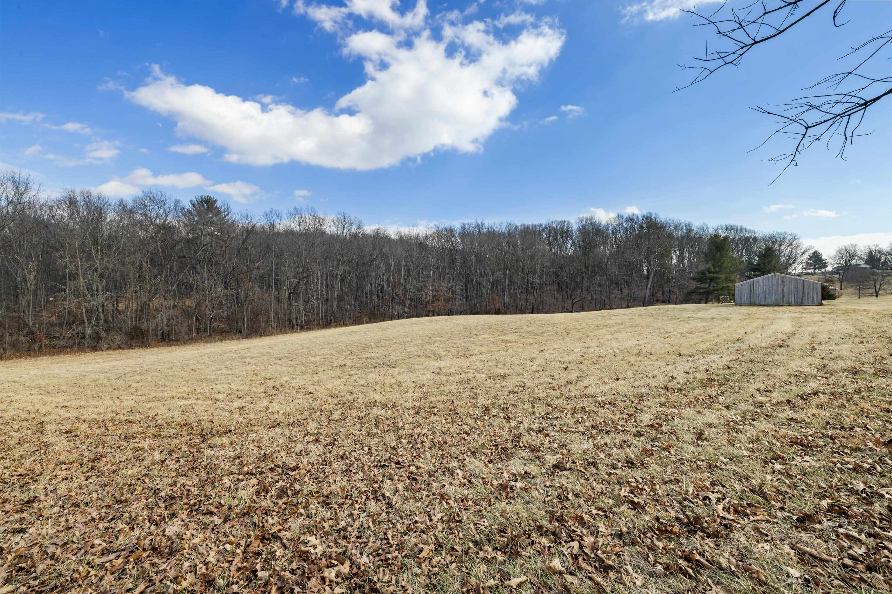 431 Mt Pisgah Road Mount Sidney, VA 24467 - Photo 7 of 72 Pasture Acreage 2