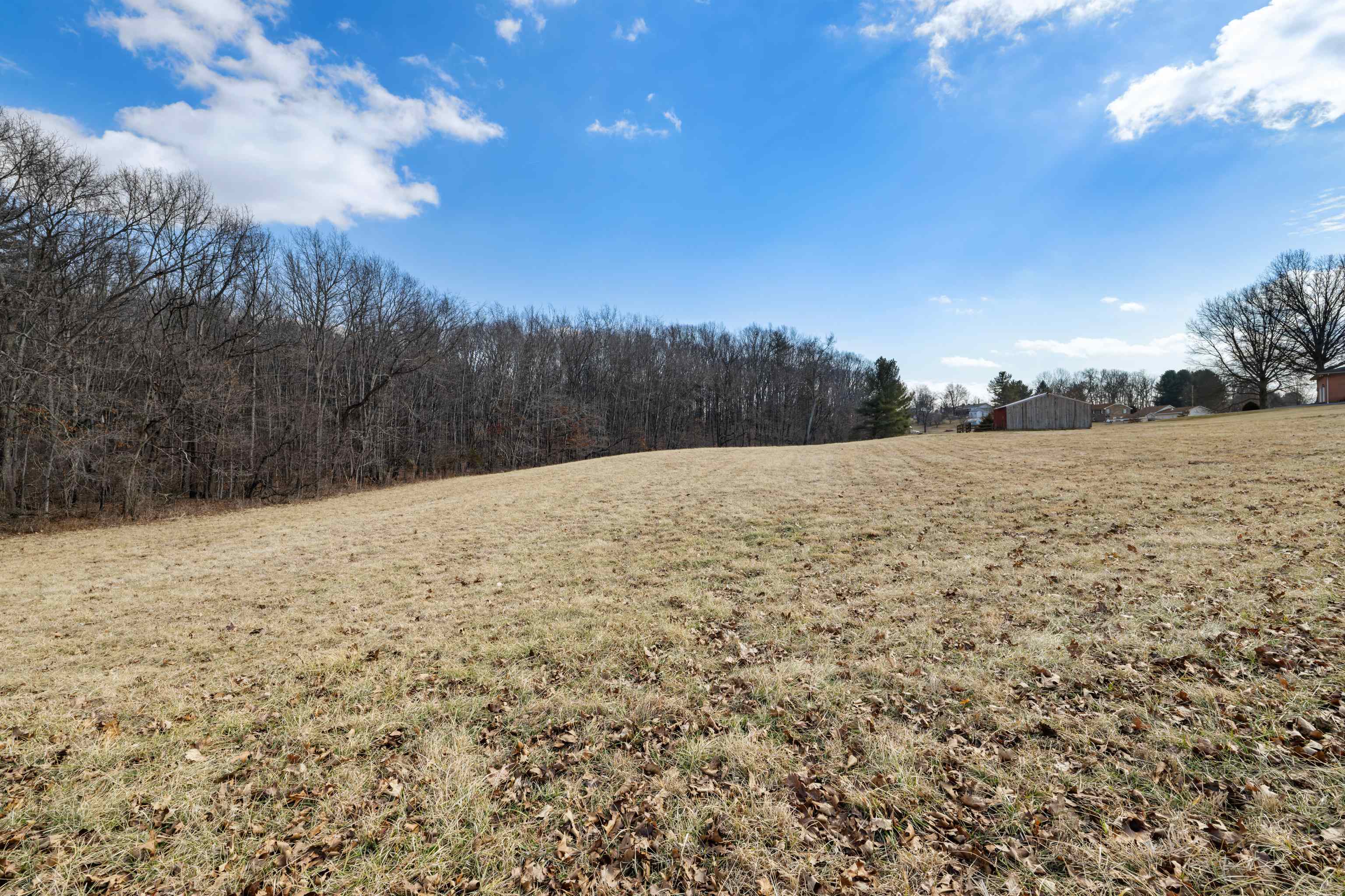 431 Mt Pisgah Road Mount Sidney, VA 24467 - Photo 8 of 72 Pasture Acreage 3