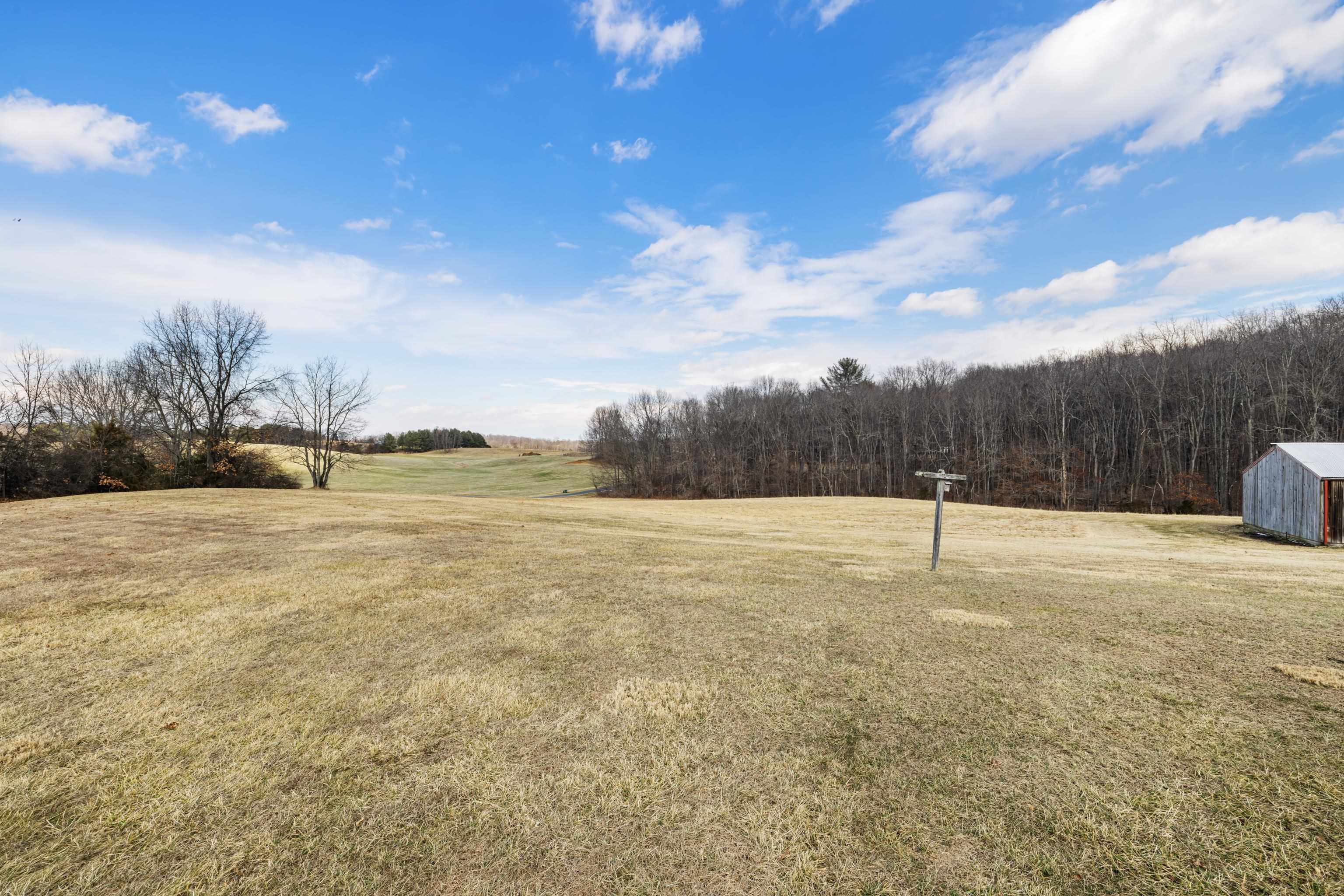 431 Mt Pisgah Road Mount Sidney, VA 24467 - Photo 10 of 72 Pasture Acreage 4