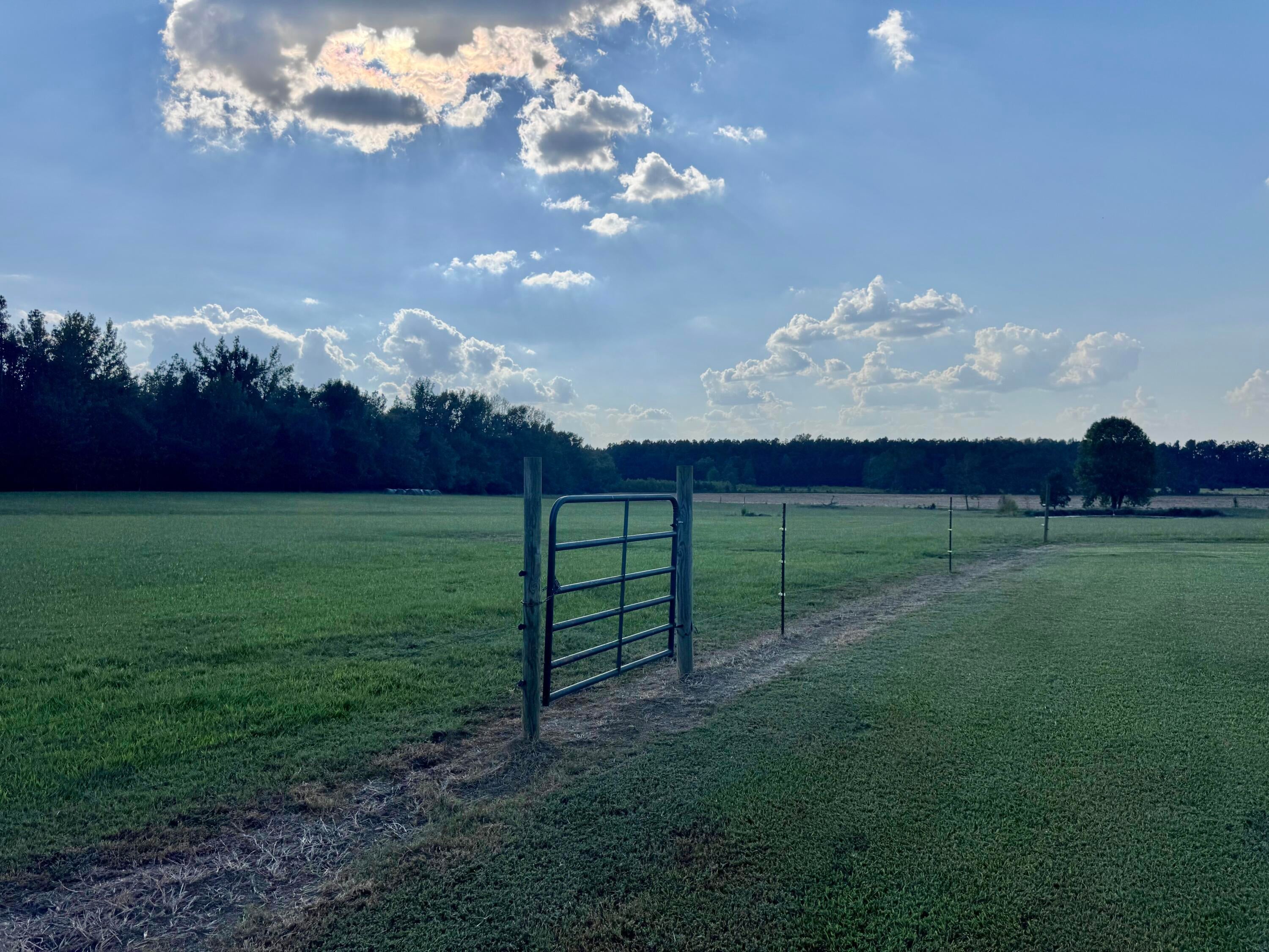 1251 Coleman Road Thaxton, MS 38871 - Photo 35 of 35 Gallery Image 35