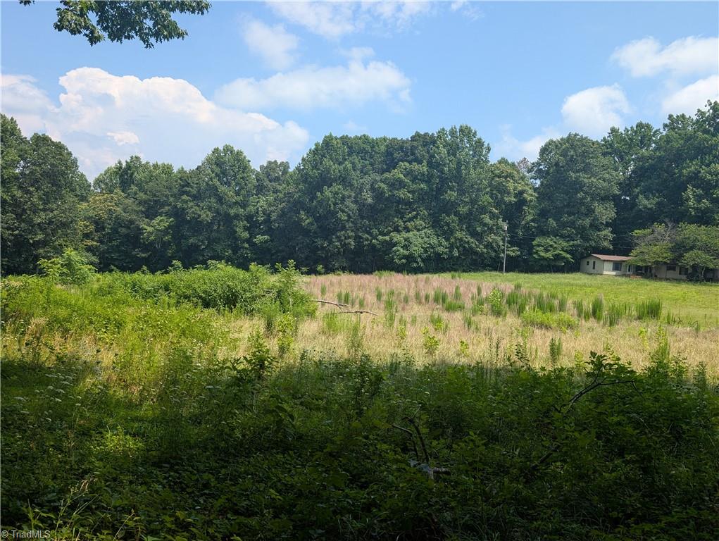 1920 North Oak Ridge Church Road Yadkinville, NC 27055 - Photo 38 of 43 Gallery Image 38