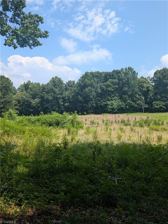 1920 North Oak Ridge Church Road Yadkinville, NC 27055 - Photo 41 of 43 Gallery Image 41