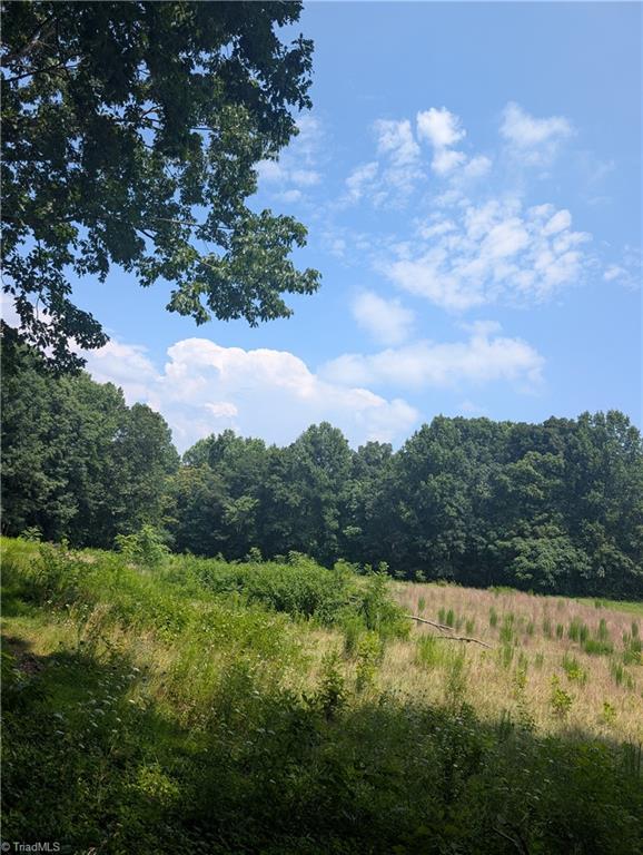 1920 North Oak Ridge Church Road Yadkinville, NC 27055 - Photo 42 of 43 Gallery Image 42