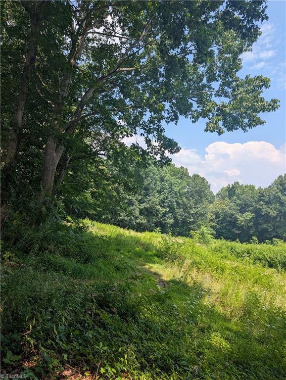 1920 North Oak Ridge Church Road Yadkinville, NC 27055 - Photo 43 of 43 Gallery Image 43