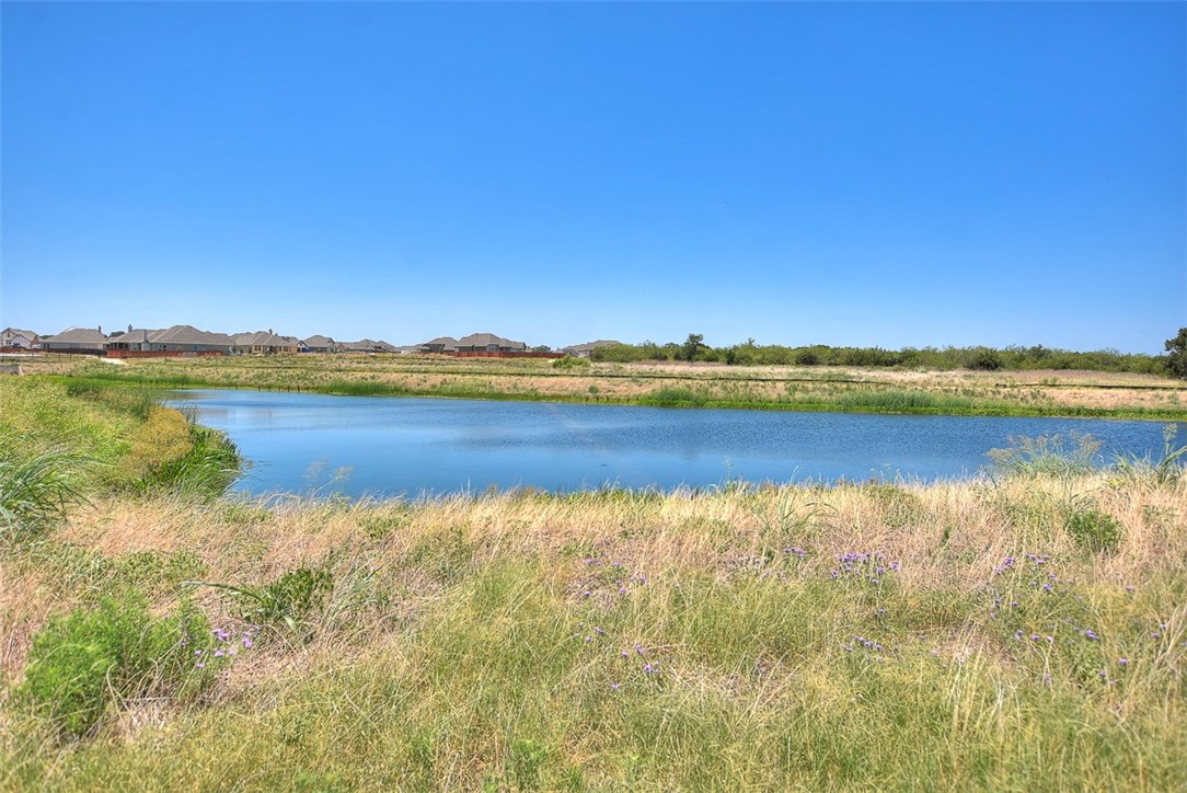 1449 Morning View Road Georgetown, TX 78628 - Photo 39 of 39