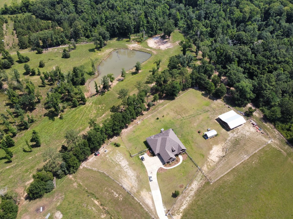 427 Ed Tolar Road Pansey, AL 36370 - Photo 48 of 58