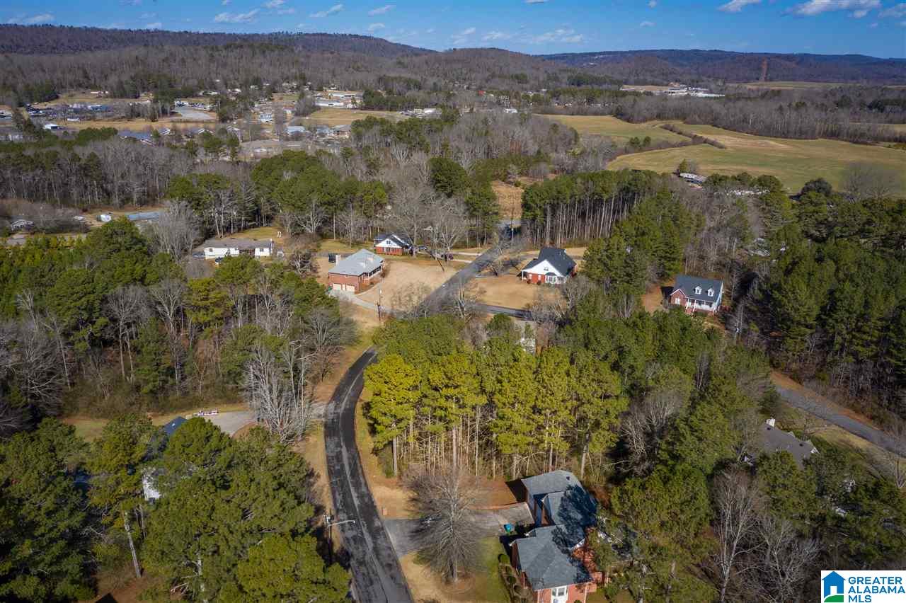 0 Scenic Trail, Unit 1 Oneonta, AL 35121 - Photo 11 of 18