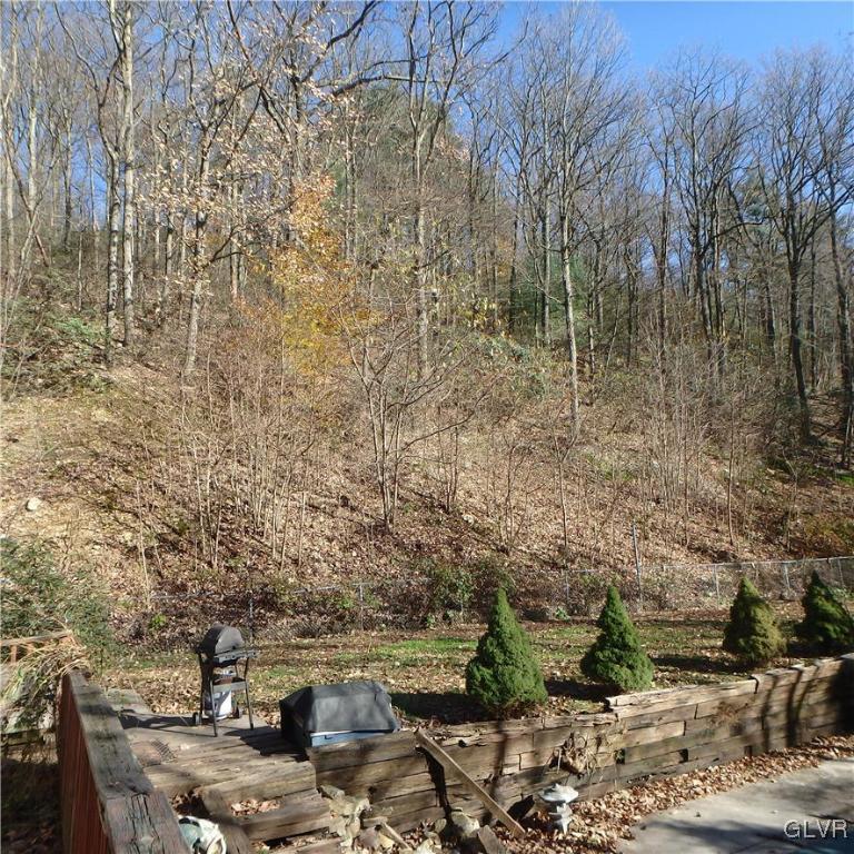 227 Old State Road Boyertown, PA 19512 - Photo 31 of 31 Backyard View