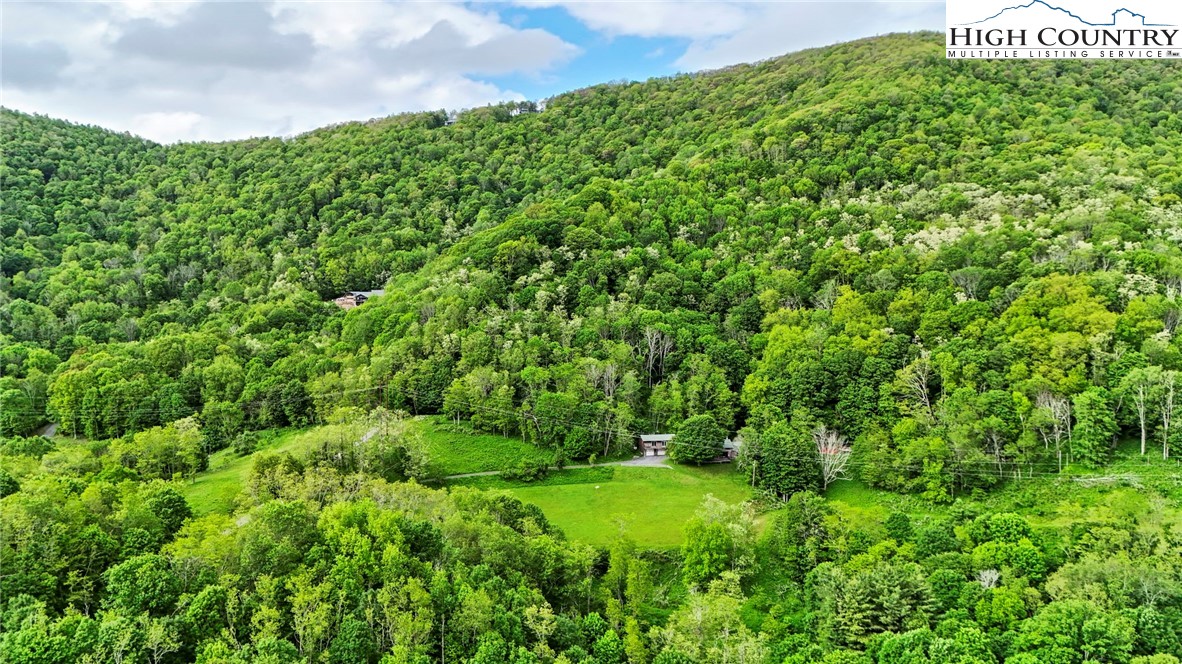 690-692 Lynn Hill Road Vilas, NC 28692 - Photo 11 of 50 a view of a lush green space