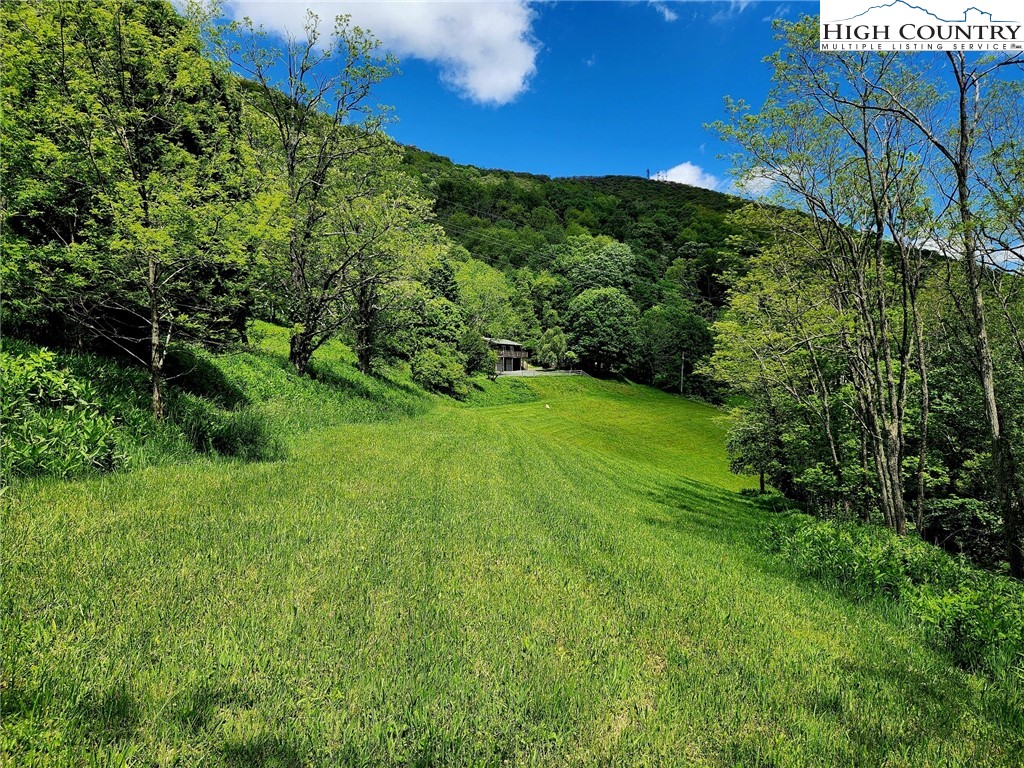 690-692 Lynn Hill Road Vilas, NC 28692 - Photo 16 of 50 a view of a lush green space