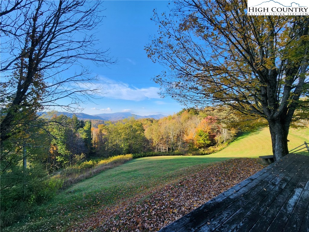 690-692 Lynn Hill Road Vilas, NC 28692 - Photo 3 of 50 a view of a yard with a tree