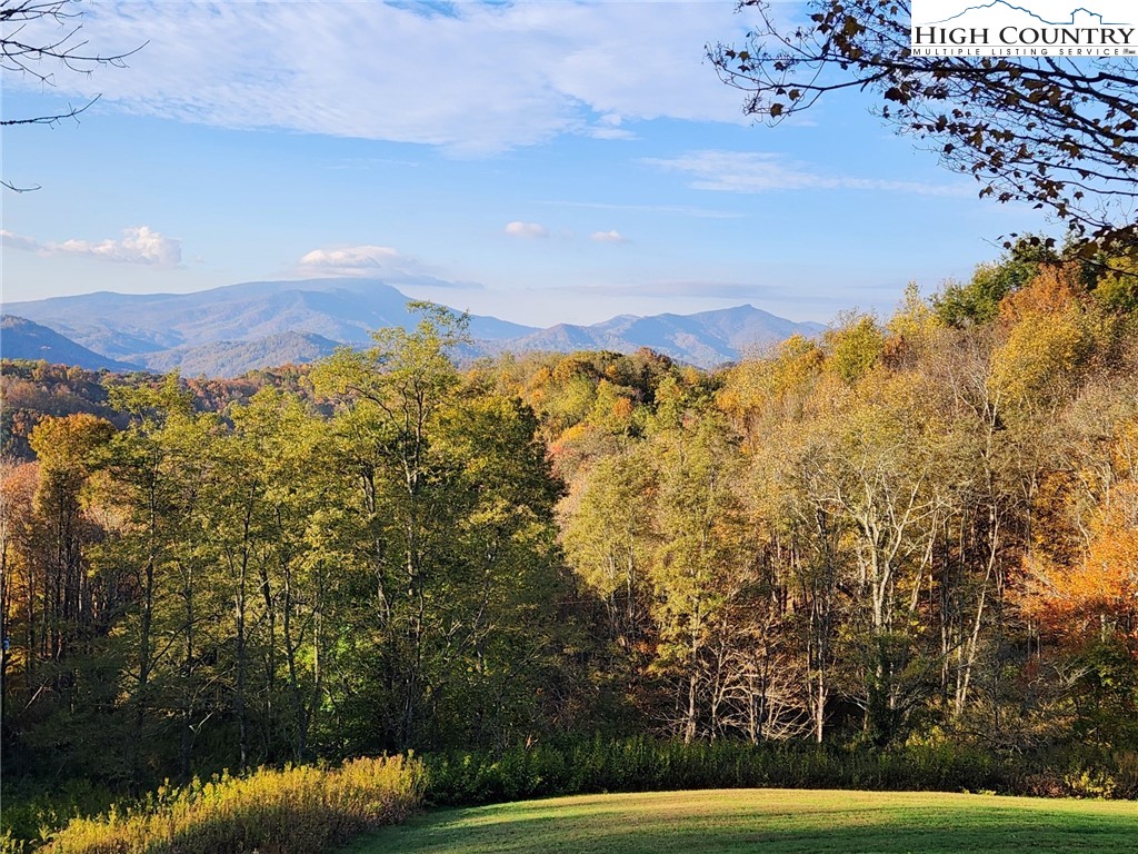 690-692 Lynn Hill Road Vilas, NC 28692 - Photo 4 of 50