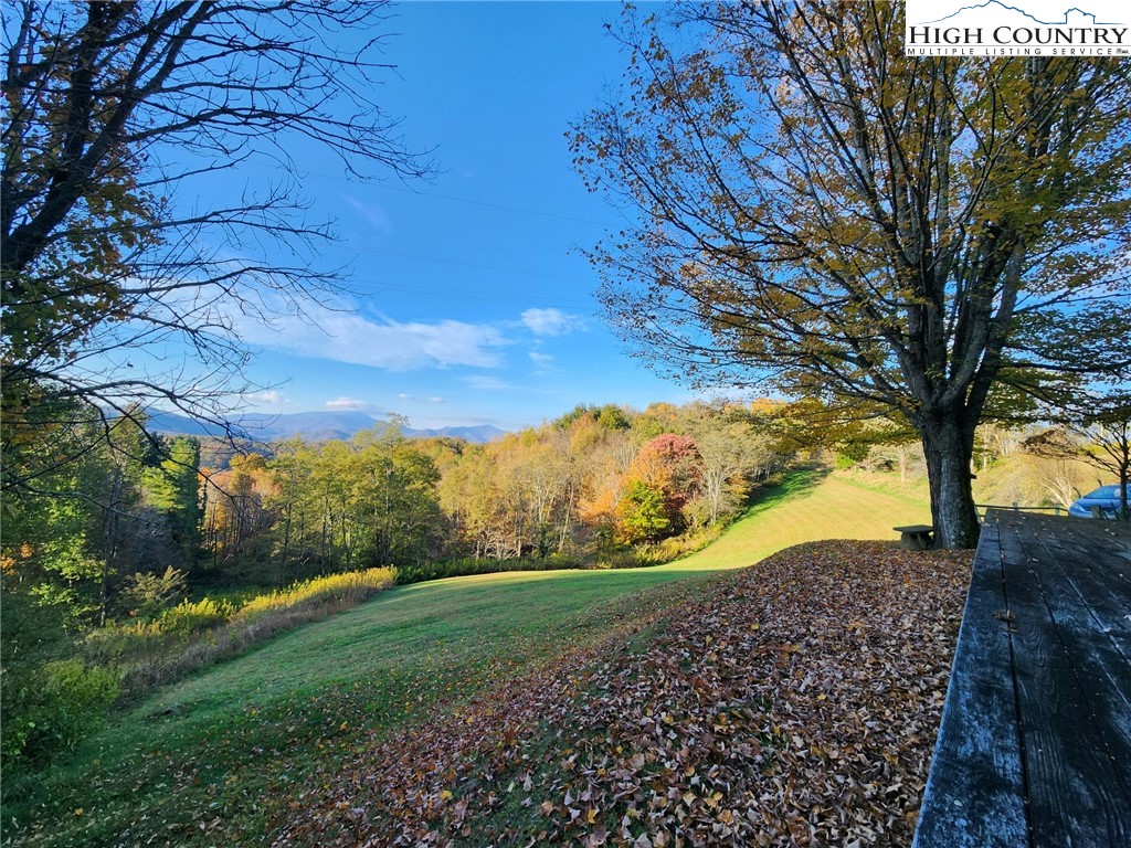 690-692 Lynn Hill Road Vilas, NC 28692 - Photo 5 of 50 a view of a yard with a large tree