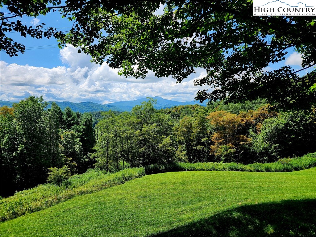 690-692 Lynn Hill Road Vilas, NC 28692 - Photo 6 of 50 a view of a field with a tree