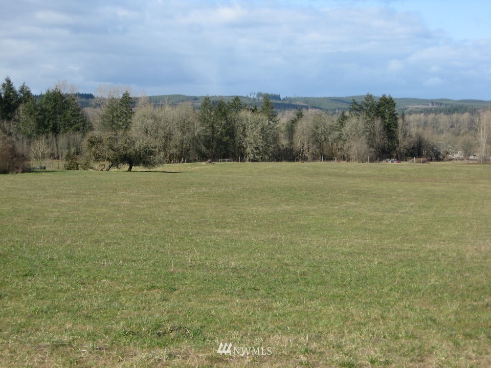-0 Fay Road Adna, WA 98522 - Photo 1 of 6