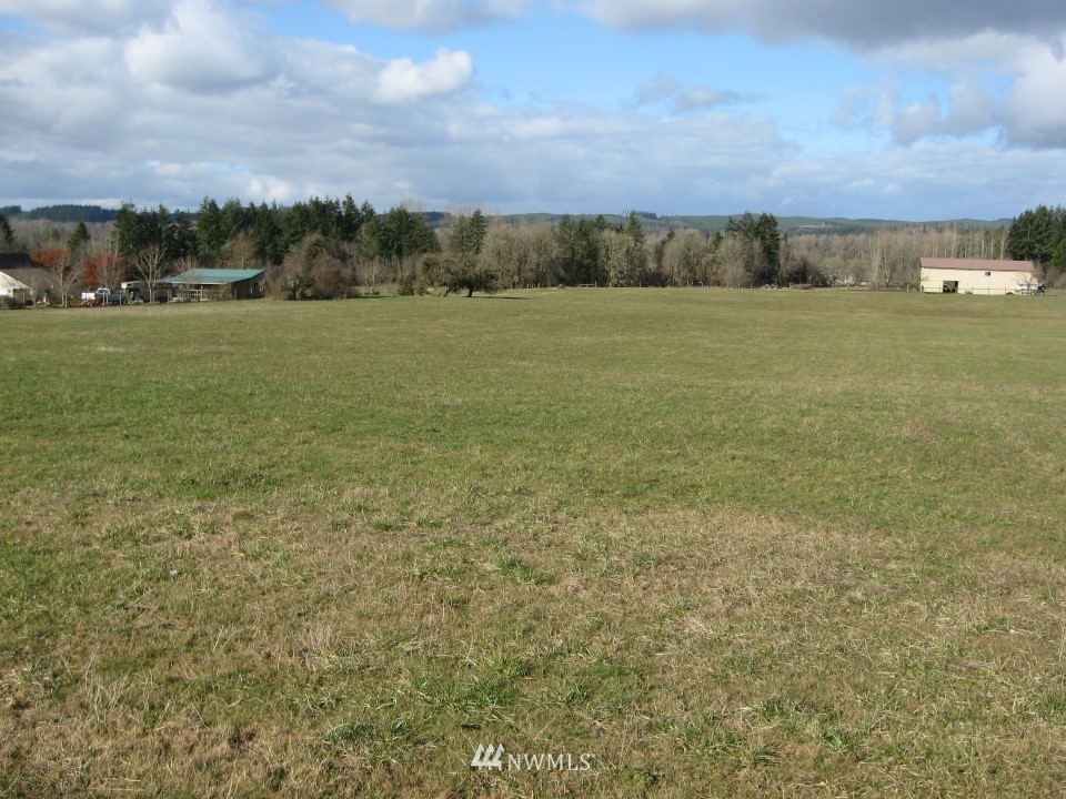 -0 Fay Road Adna, WA 98522 - Photo 3 of 6