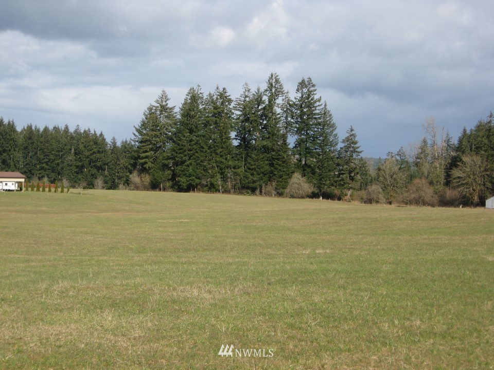 -0 Fay Road Adna, WA 98522 - Photo 4 of 6