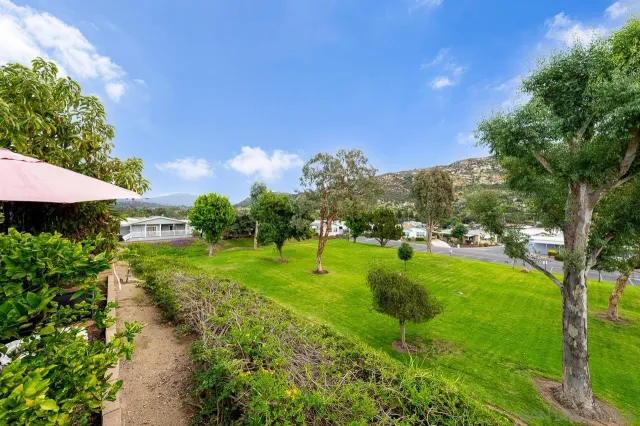 a view of a garden with an outdoor space
