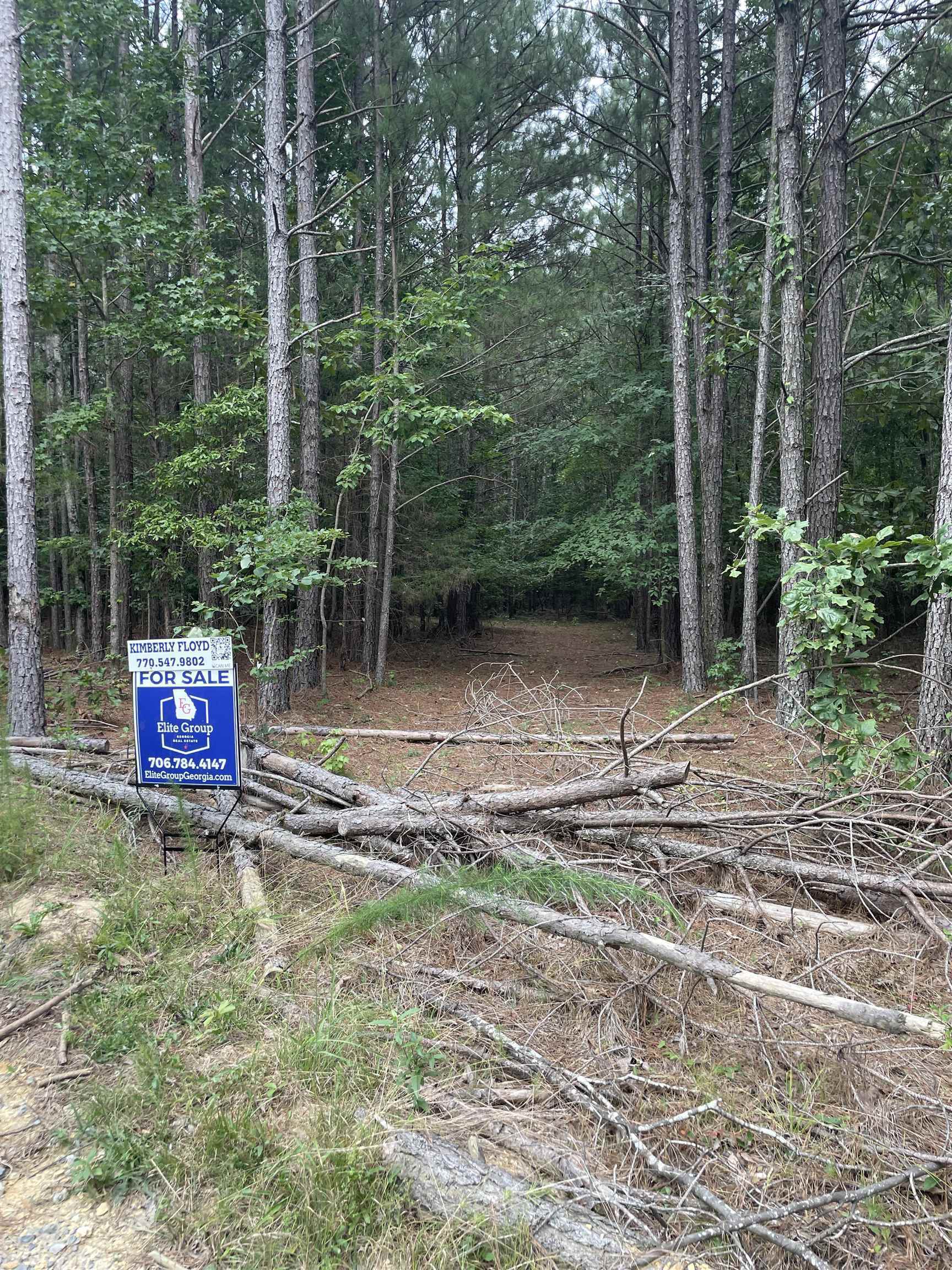 0 Wayside Road Kingston, GA 30145 - Photo 1 of 1 a view of a back yard with a wooden fence
