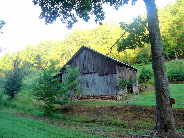 202 Duncan Branch Road Vonore, TN 37885 - Photo 11 of 40 13-DSC00013