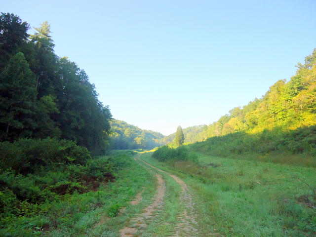 202 Duncan Branch Road Vonore, TN 37885 - Photo 14 of 40 15-DSC00015