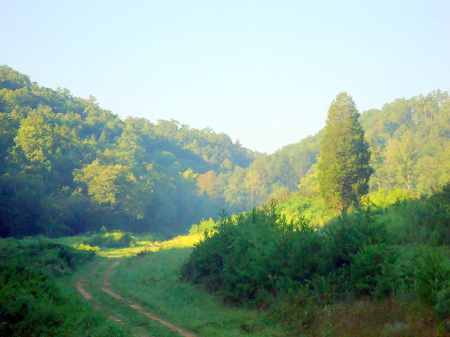 202 Duncan Branch Road Vonore, TN 37885 - Photo 15 of 40 16-DSC00016