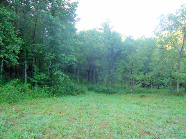 202 Duncan Branch Road Vonore, TN 37885 - Photo 18 of 40 19-DSC00019