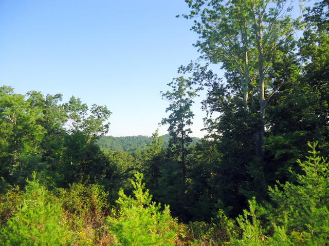 202 Duncan Branch Road Vonore, TN 37885 - Photo 19 of 40 20-DSC00020
