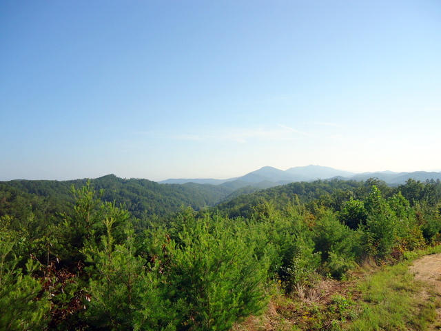 202 Duncan Branch Road Vonore, TN 37885 - Photo 20 of 40 22-DSC00022