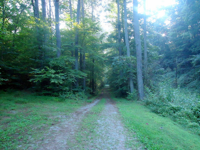 01-DSC00001