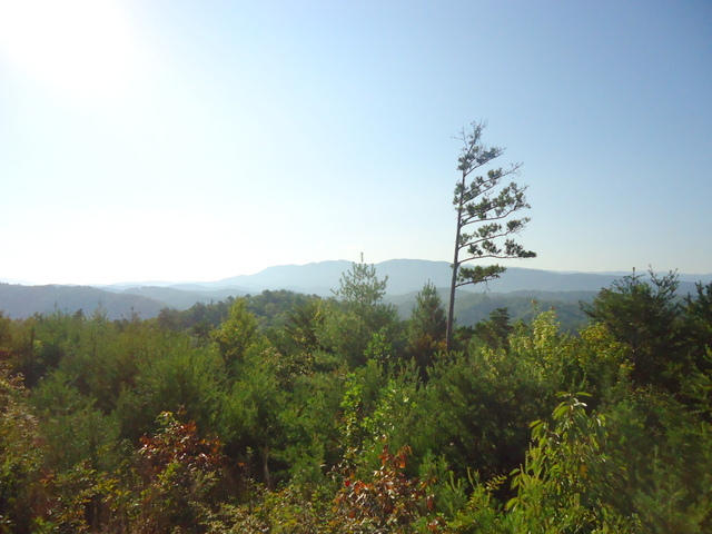 202 Duncan Branch Road Vonore, TN 37885 - Photo 22 of 40 24-DSC00024