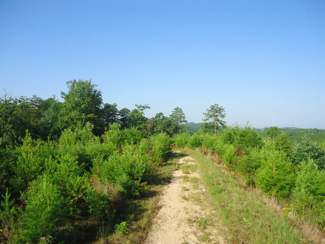 202 Duncan Branch Road Vonore, TN 37885 - Photo 23 of 40 25-DSC00025
